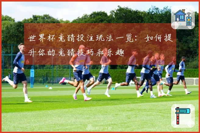 世界杯竞猜投注玩法一览：如何提升你的竞猜技巧和乐趣