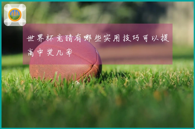 世界杯竞猜有哪些实用技巧可以提高中奖几率