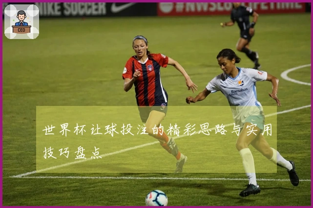 世界杯让球投注的精彩思路与实用技巧盘点